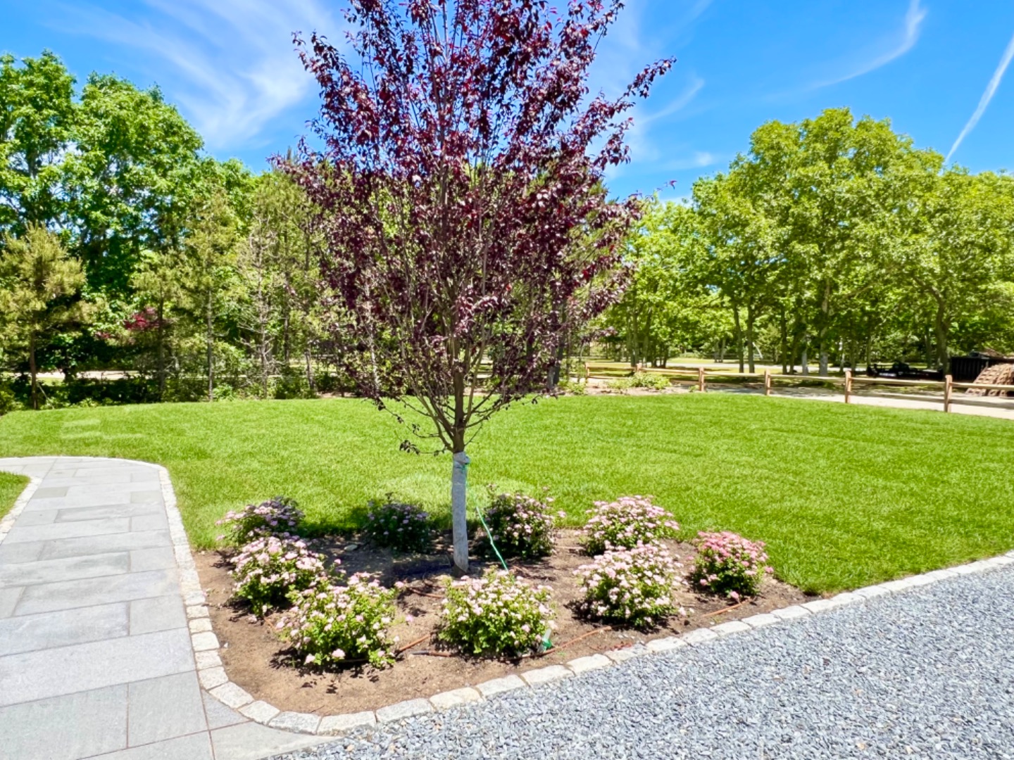 18 Bold Meadow Road Edgartown, MA 02539 - Photo 9 of 109 Front Yard
