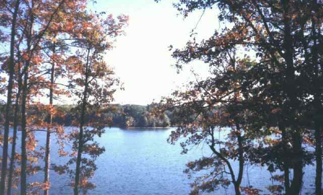 3 Carolina Cove Road Seneca, SC 29672 - Photo 3 of 8 Gallery Image 3