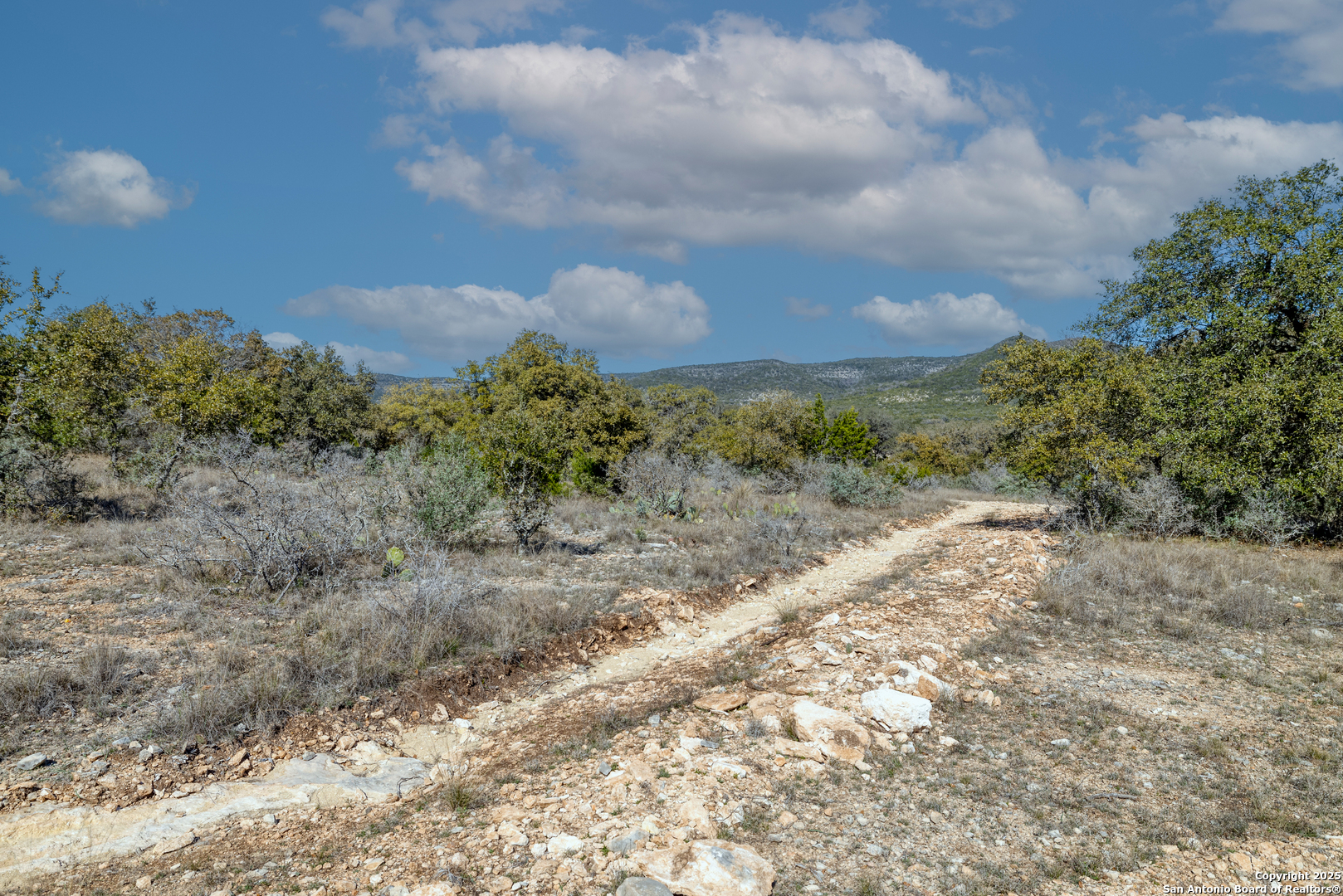 3049 North Little Creek Road Utopia, TX 78884 - Photo 29 of 38 a view of a yard