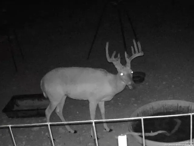 $599,000 | 3049 North Little Creek Road, Utopia, TX 78884