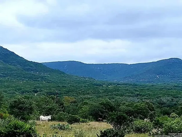 $599,000 | 3049 North Little Creek Road, Utopia, TX 78884