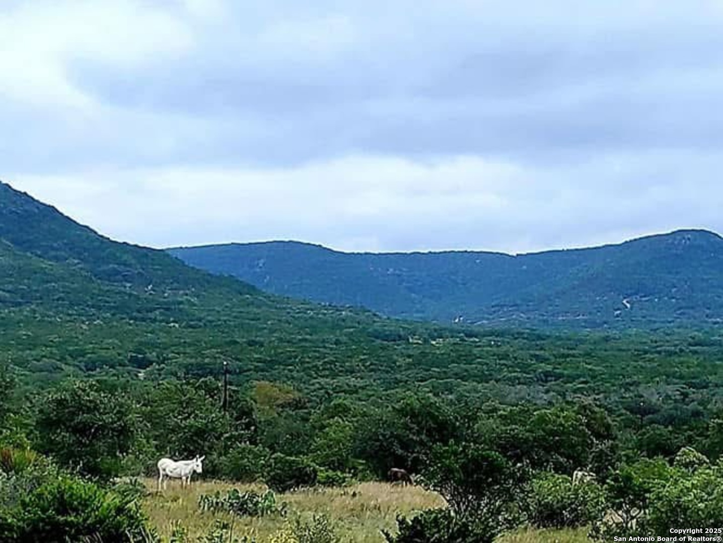 3049 North Little Creek Road Utopia, TX 78884 - Photo 37 of 38