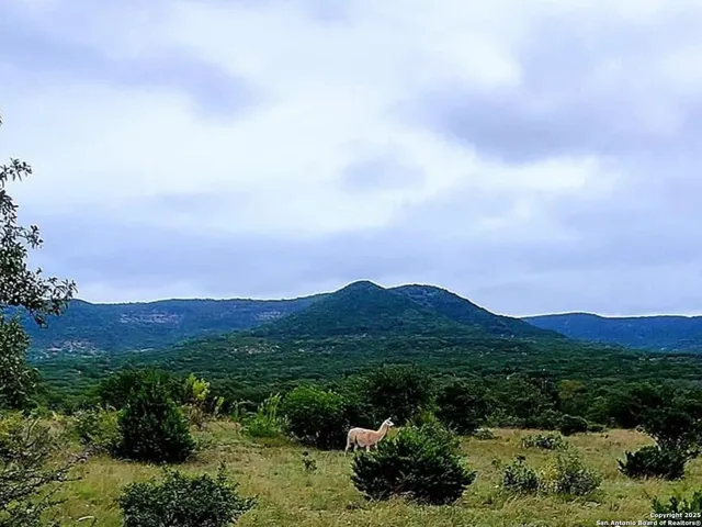 $599,000 | 3049 North Little Creek Road, Utopia, TX 78884