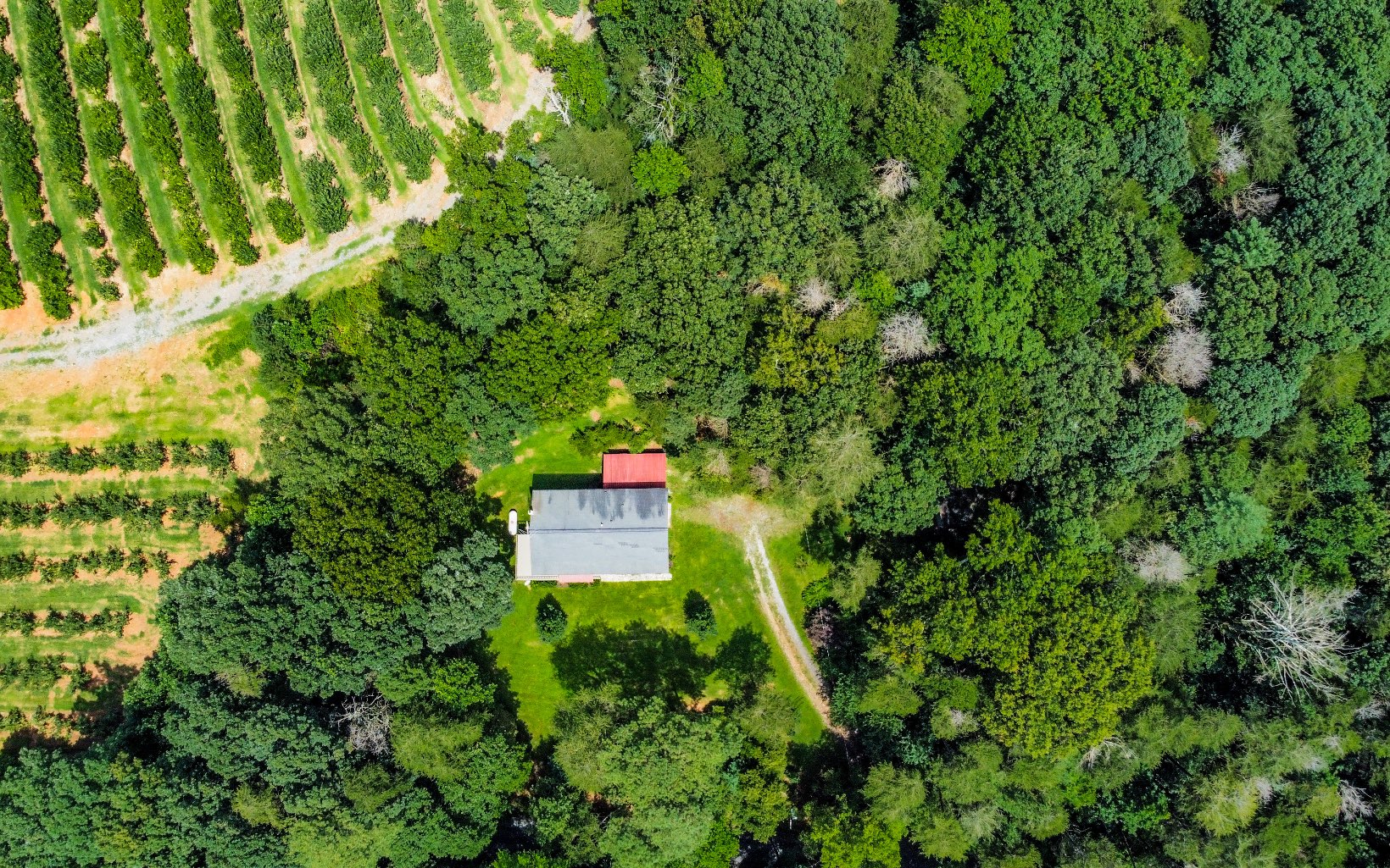 251 Ralston Road Ellijay, GA 30536 - Photo 2 of 59 Additional View