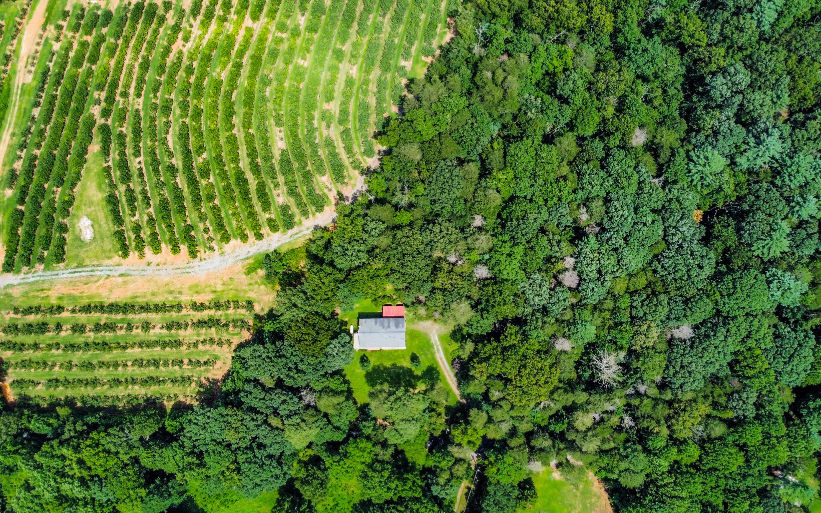 251 Ralston Road Ellijay, GA 30536 - Photo 26 of 59 Additional View
