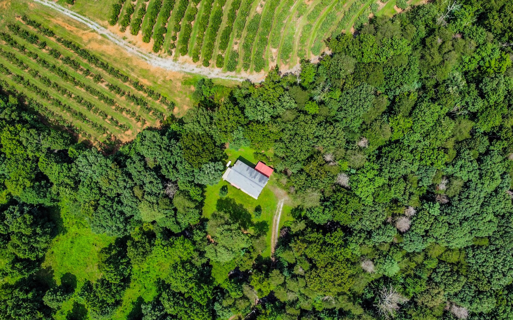 251 Ralston Road Ellijay, GA 30536 - Photo 29 of 59 Additional View