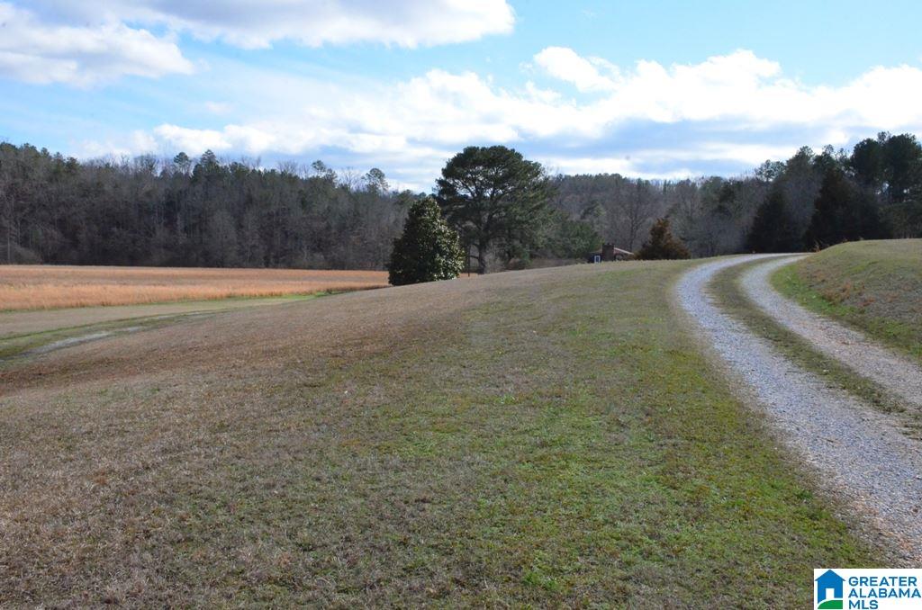 6477 Berney Station Road Talladega, AL 35160 - Photo 4 of 50