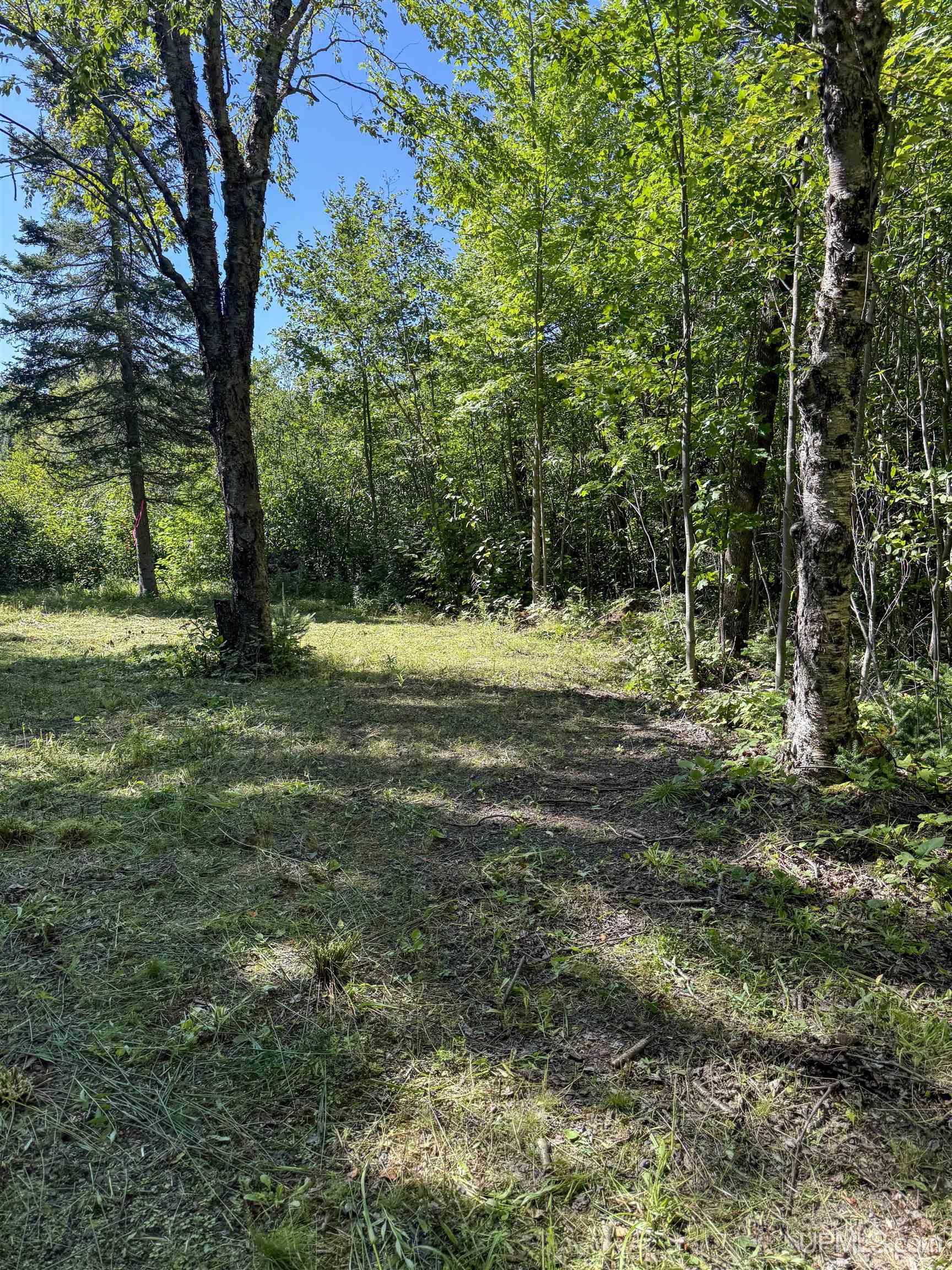 Lot 2 Off Hwy M-64 Road Ontonagon, MI 49953 - Photo 10 of 37