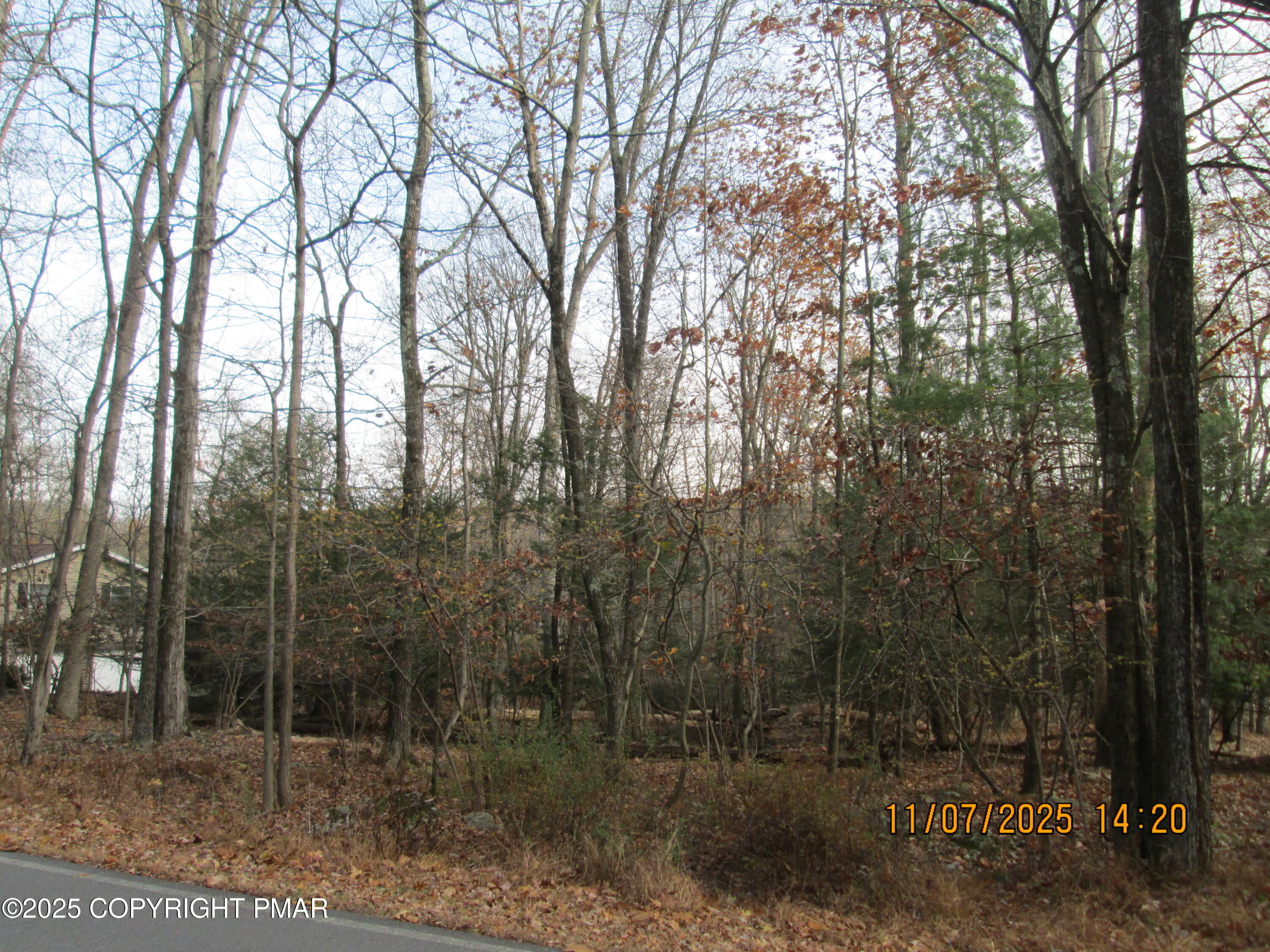 36 Scotrun Drive Scotrun, PA 18355 - Photo 2 of 3 a view of a forest
