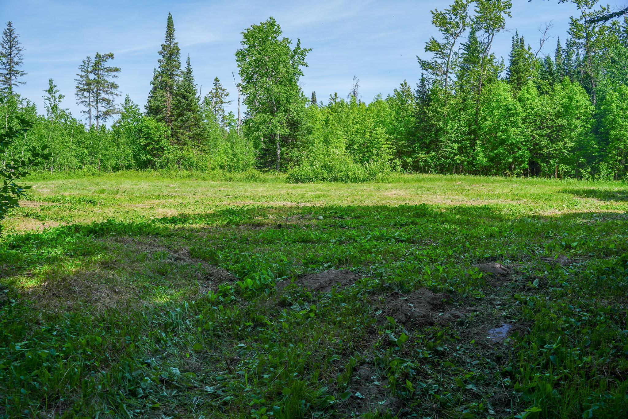 47 Co Highway 47 Osage, MN 56570 - Photo 49 of 59