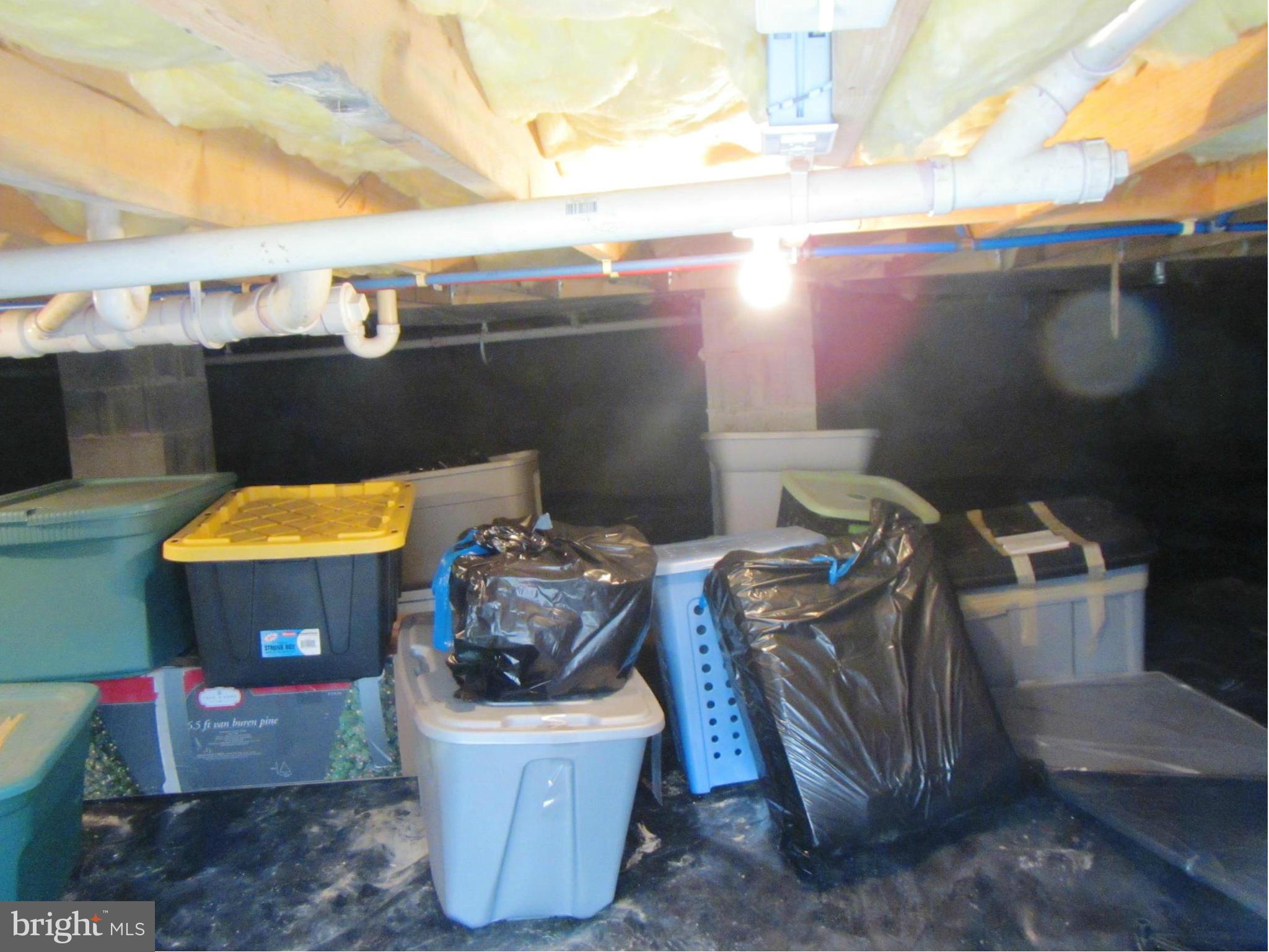 821 Arrington Road Queenstown, MD 21658 - Photo 18 of 25 Crawl space with storage