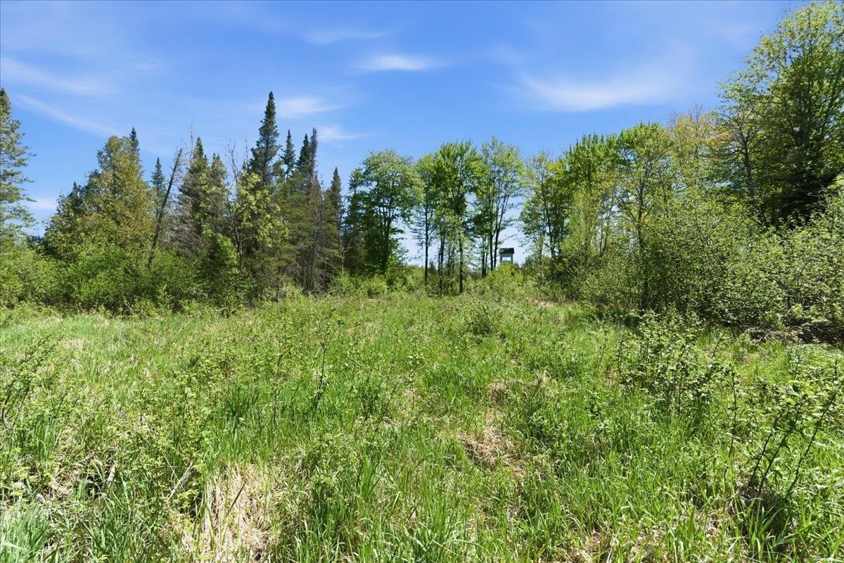 0 County Highway J Deerbrook, WI 54424 - Photo 27 of 78