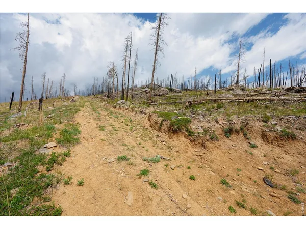 $89,000 | 30 Sheep Horn Court, Bellvue, CO 80512