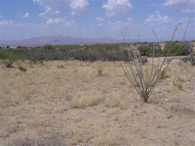 0 Horse Ride Place Benson, AZ 85602 - Photo 4 of 4