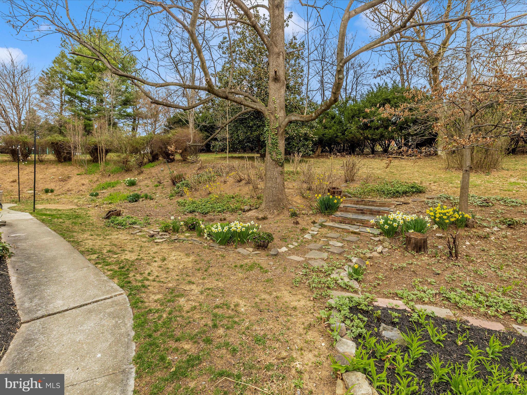 4426 Teen Barnes Road Frederick, MD 21703 - Photo 53 of 76 Exterior Back