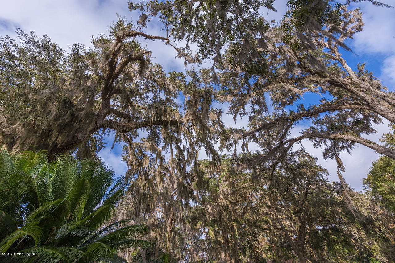 960 Fruit Cove Road Fruit Cove, FL 32259 - Photo 53 of 55 IMG_3525