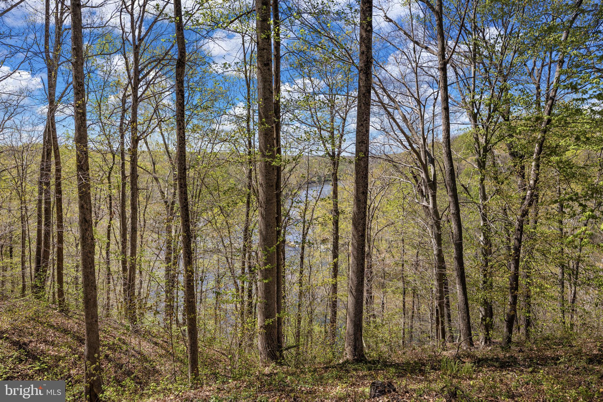 5513 River Road Fredericksburg, VA 22401 - Photo 52 of 77