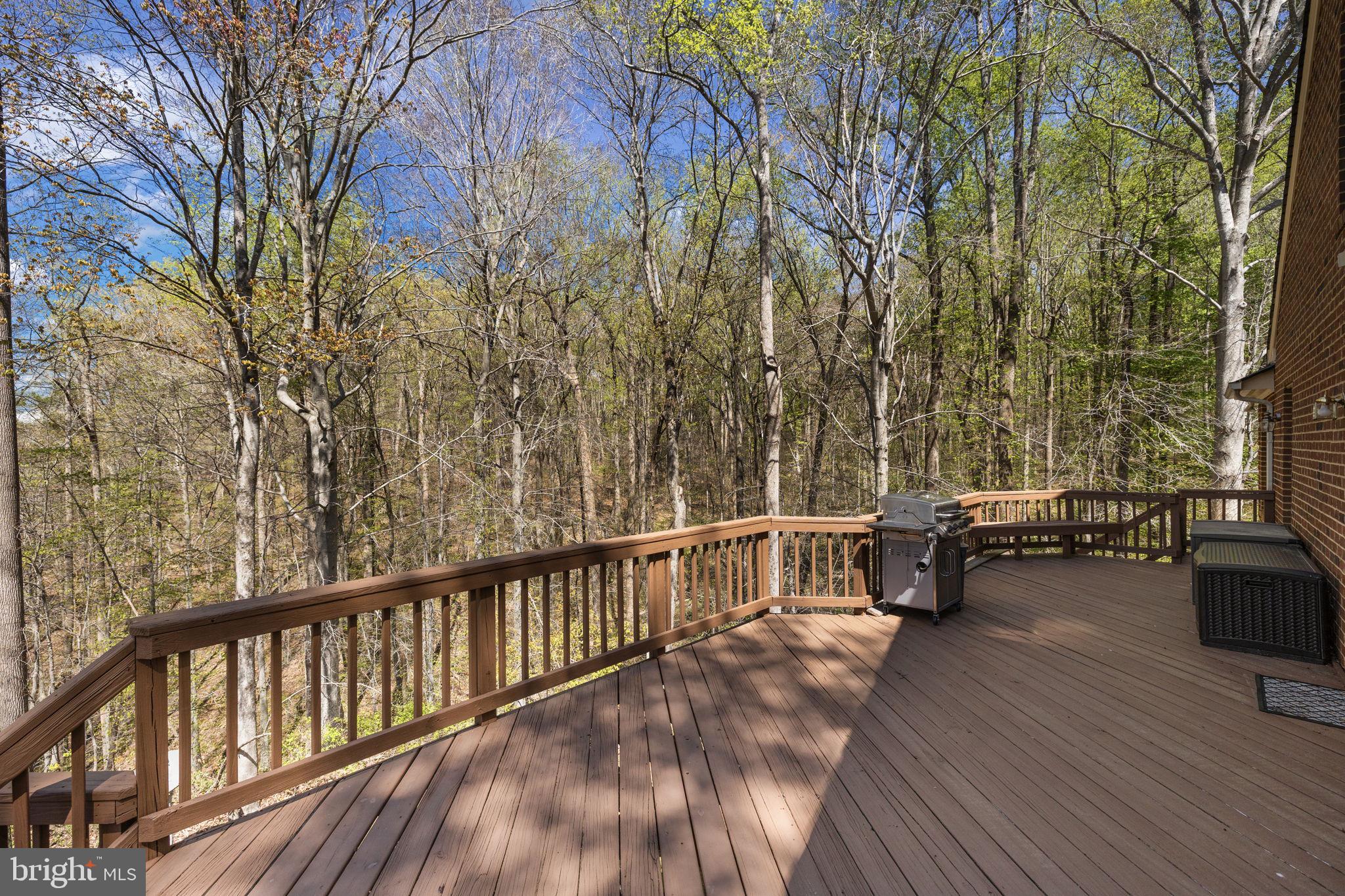 5513 River Road Fredericksburg, VA 22401 - Photo 60 of 77