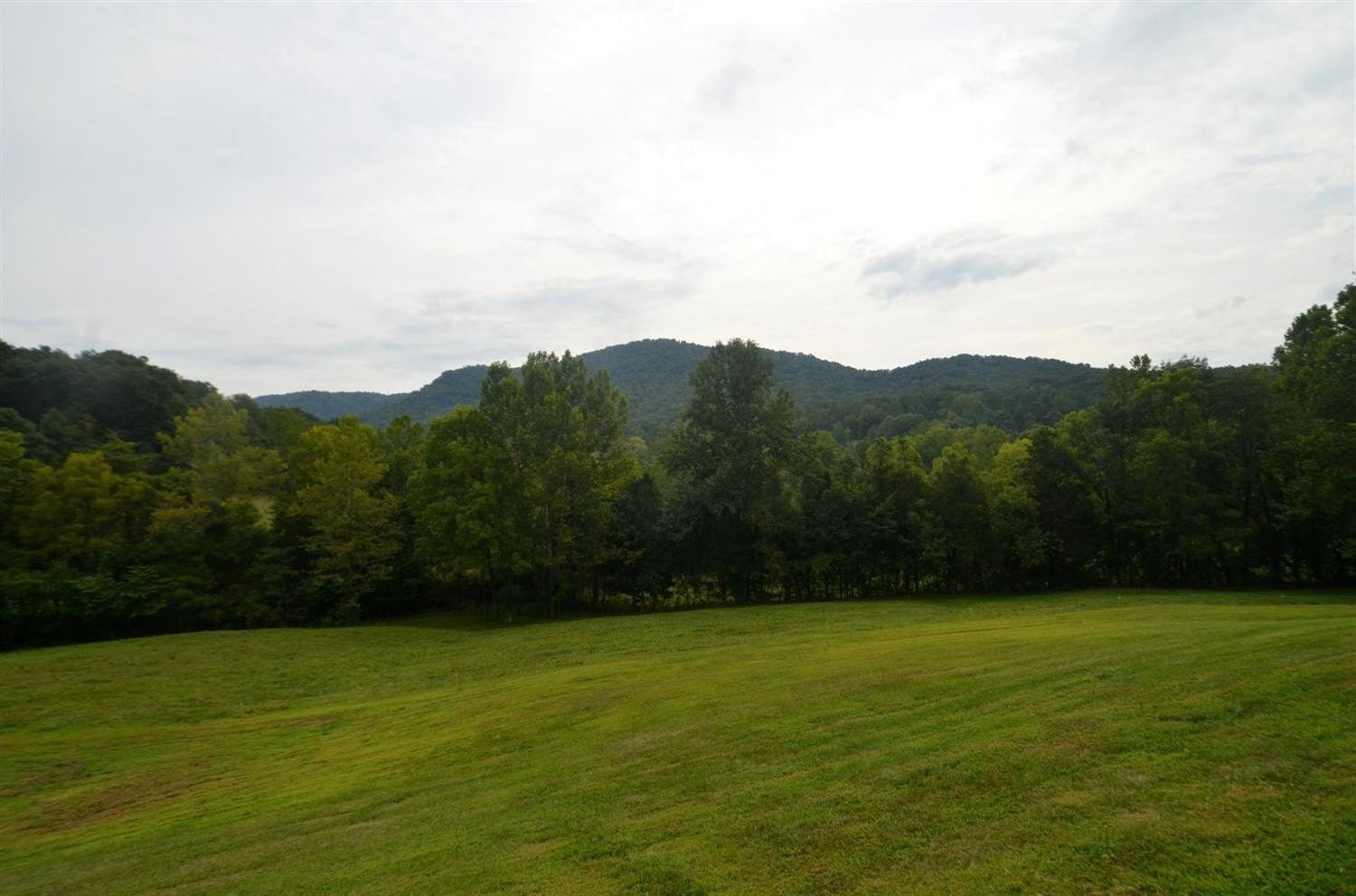 375 White Oak Road Irvine, KY 40336 - Photo 25 of 47 Part pasture, part yard!