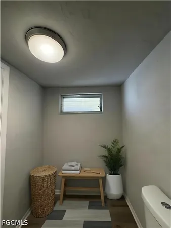 a living room with a couch and a potted plant