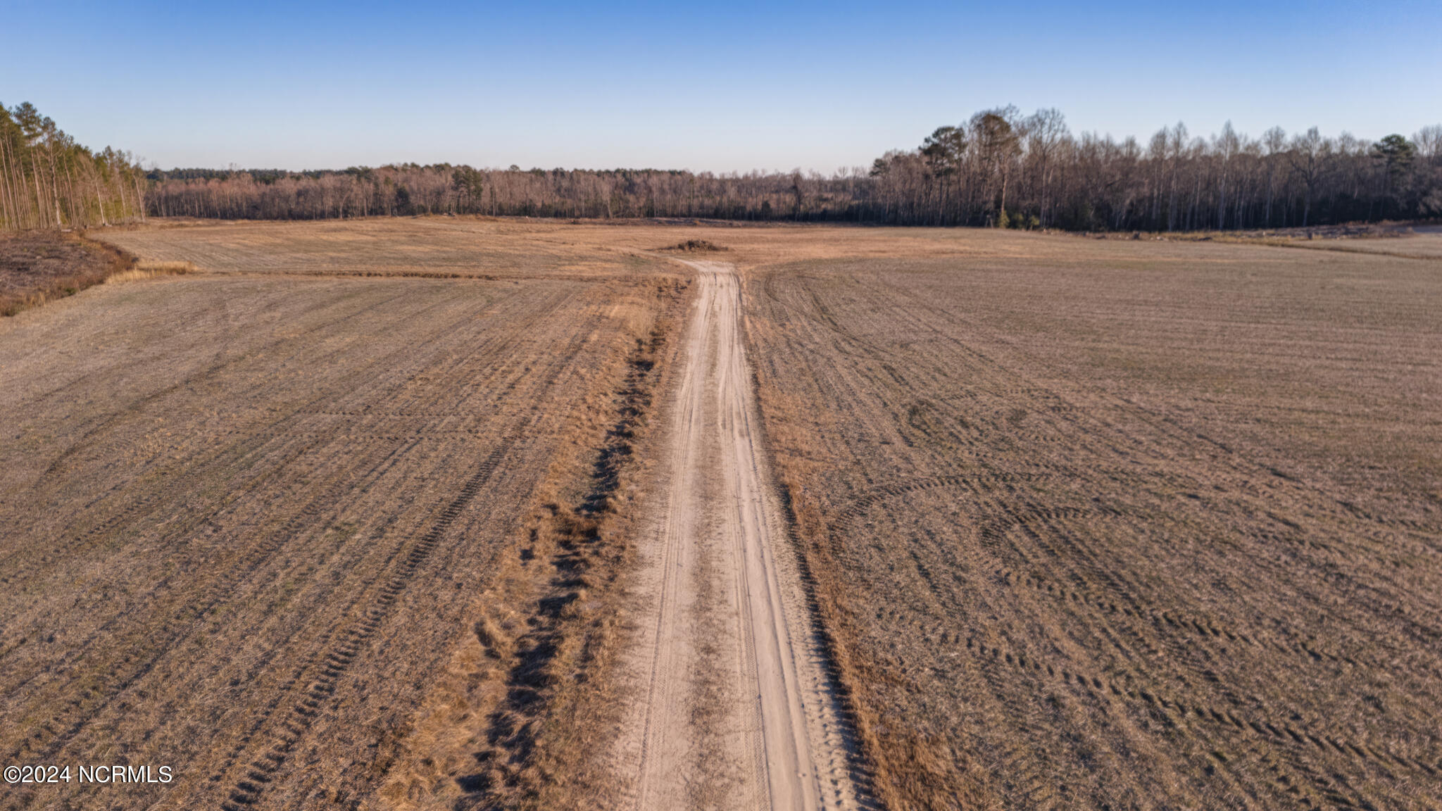 0 Smith Road Gates, NC 27937 - Photo 13 of 22 69 Acres Smith Rd-30