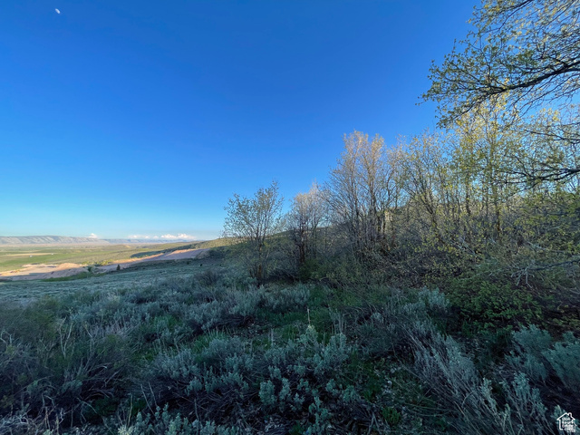 200 Mill Farm Road Montpelier, ID 83254 - Photo 44 of 47 View of nature with rural landscape