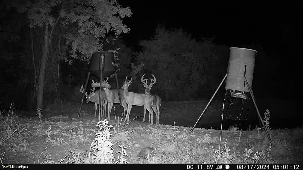 0 Cr E Road Pomeroy, OH 45769 - Photo 75 of 82 IMG_1337