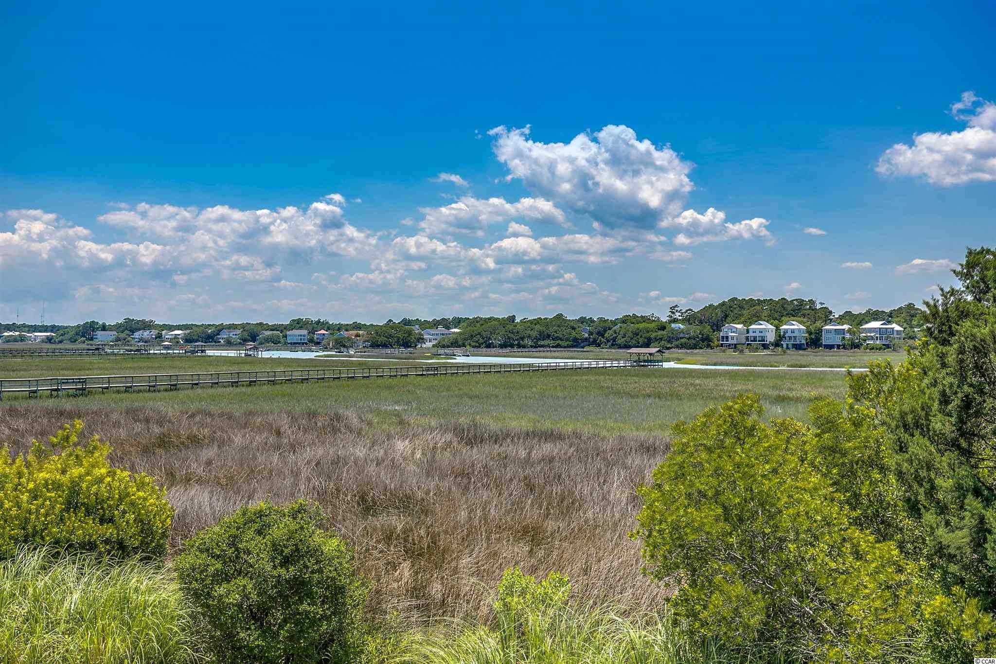 82 Inlet Point Drive, Unit 9D Pawleys Island, SC 29585 - Photo 30 of 40 Gallery Image 30