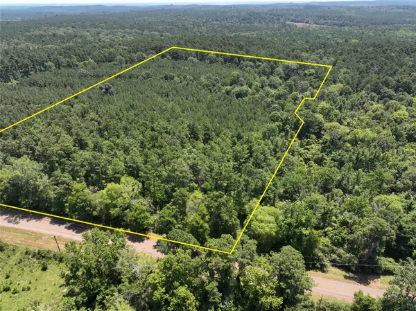 a view of a forest from a window