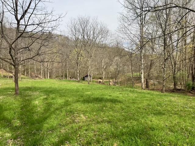 362 Band Of Hope Road Renick, WV 24966 - Photo 14 of 18 Gallery Image 14