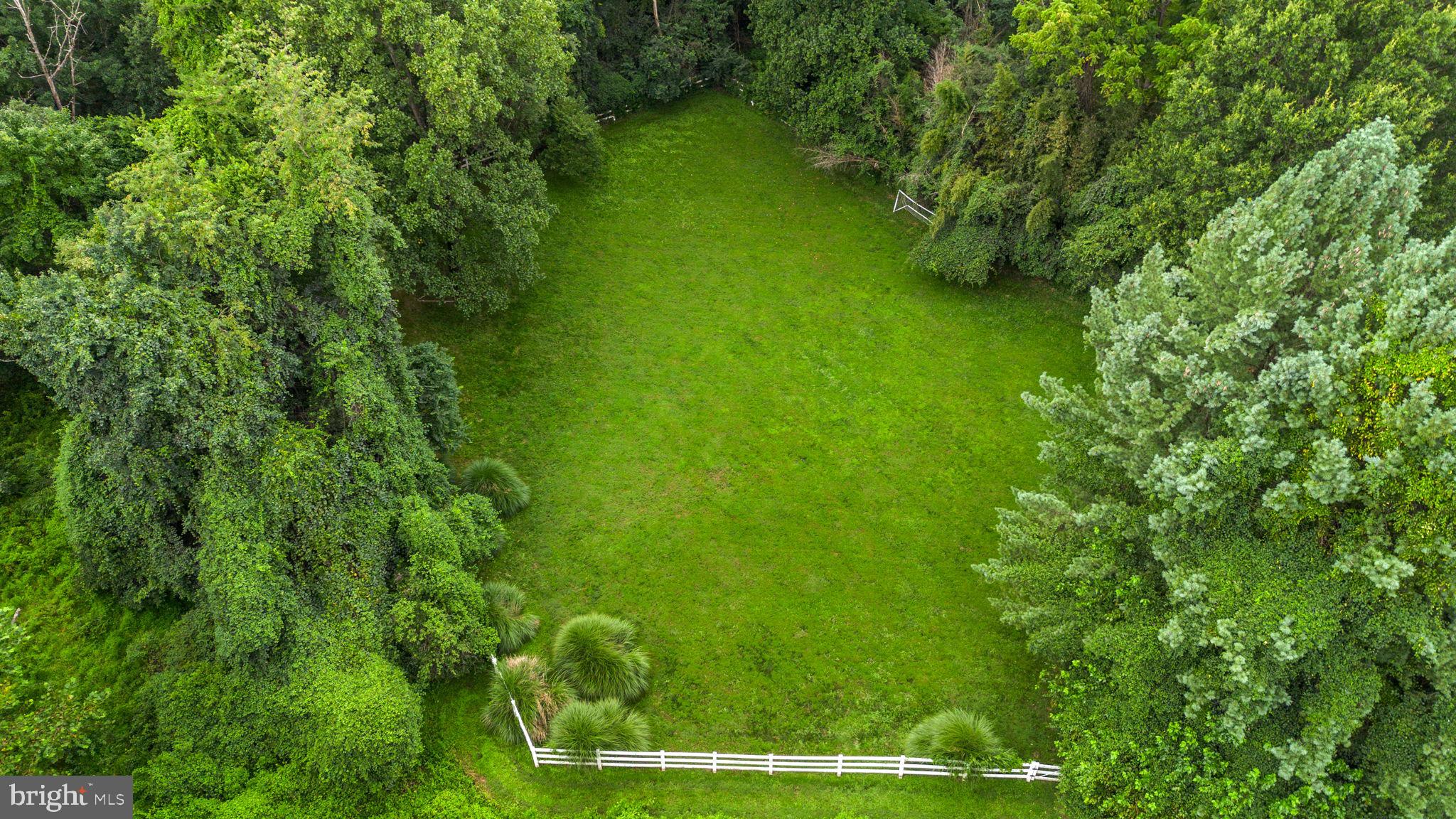 10306 Cutters Lane Potomac, MD 20854 - Photo 70 of 76 a view of a lush green space