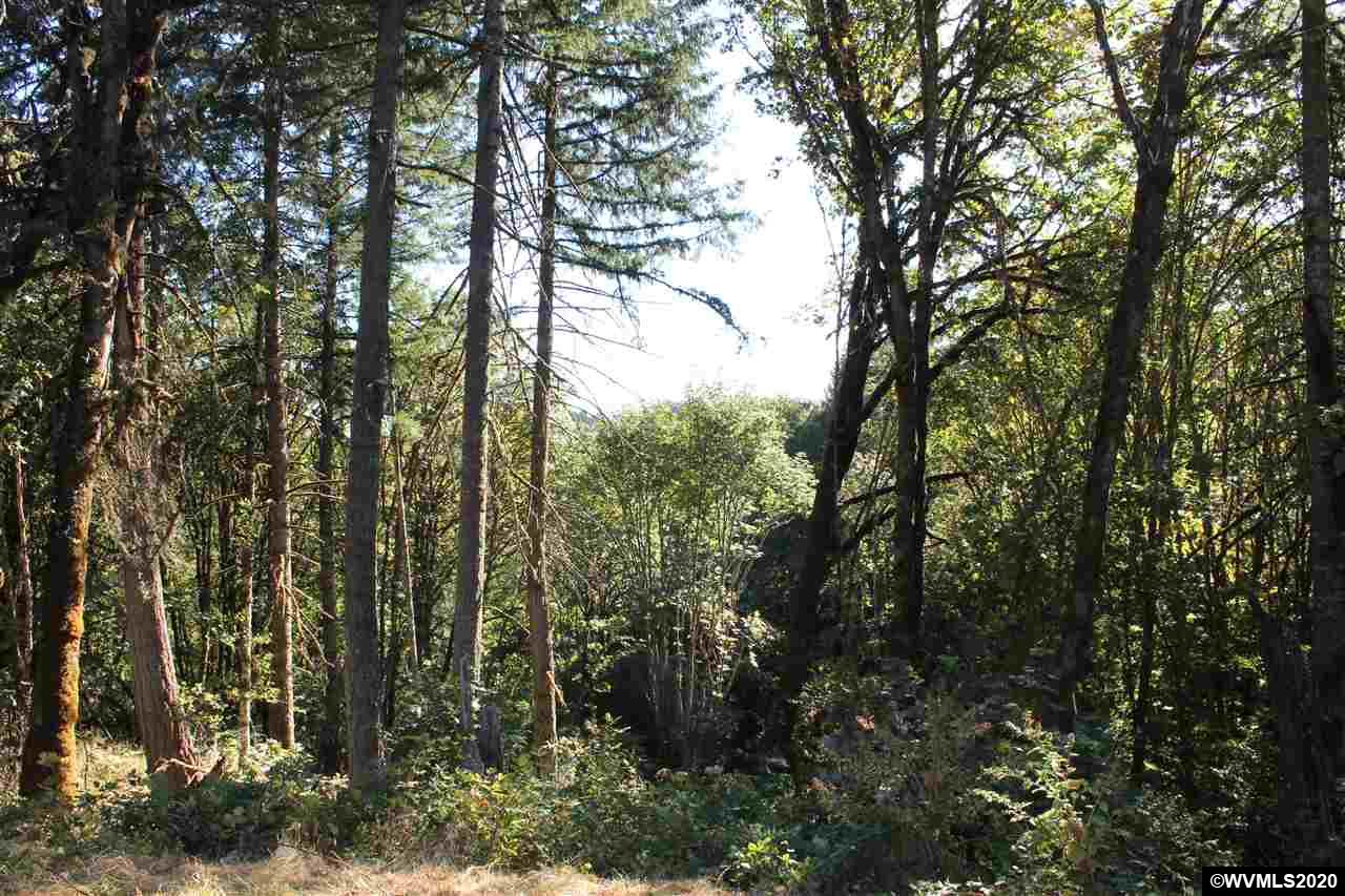 3215 Mistletoe Road Dallas, OR 97338 - Photo 7 of 12