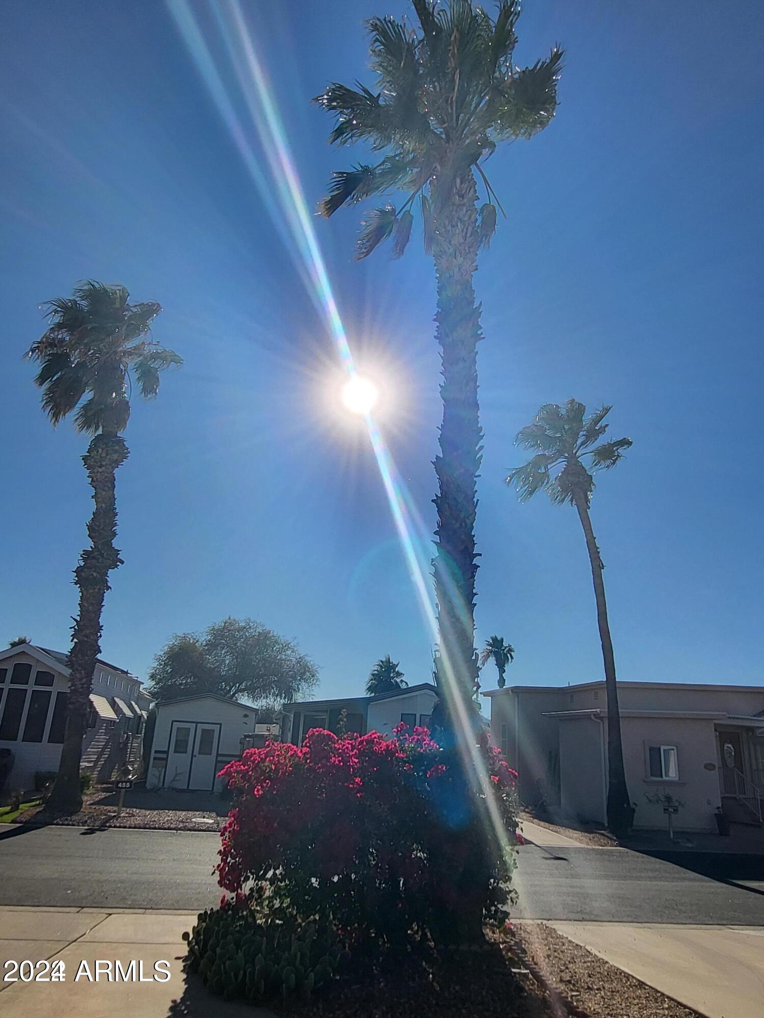 17200 West Bell Road, Unit 667 Surprise, AZ 85374 - Photo 7 of 56 20221028115857371138000000-o