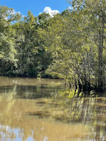 $25,000 | Lot 4 Smokehouse Lake Road, Ponce de Leon, FL 32455