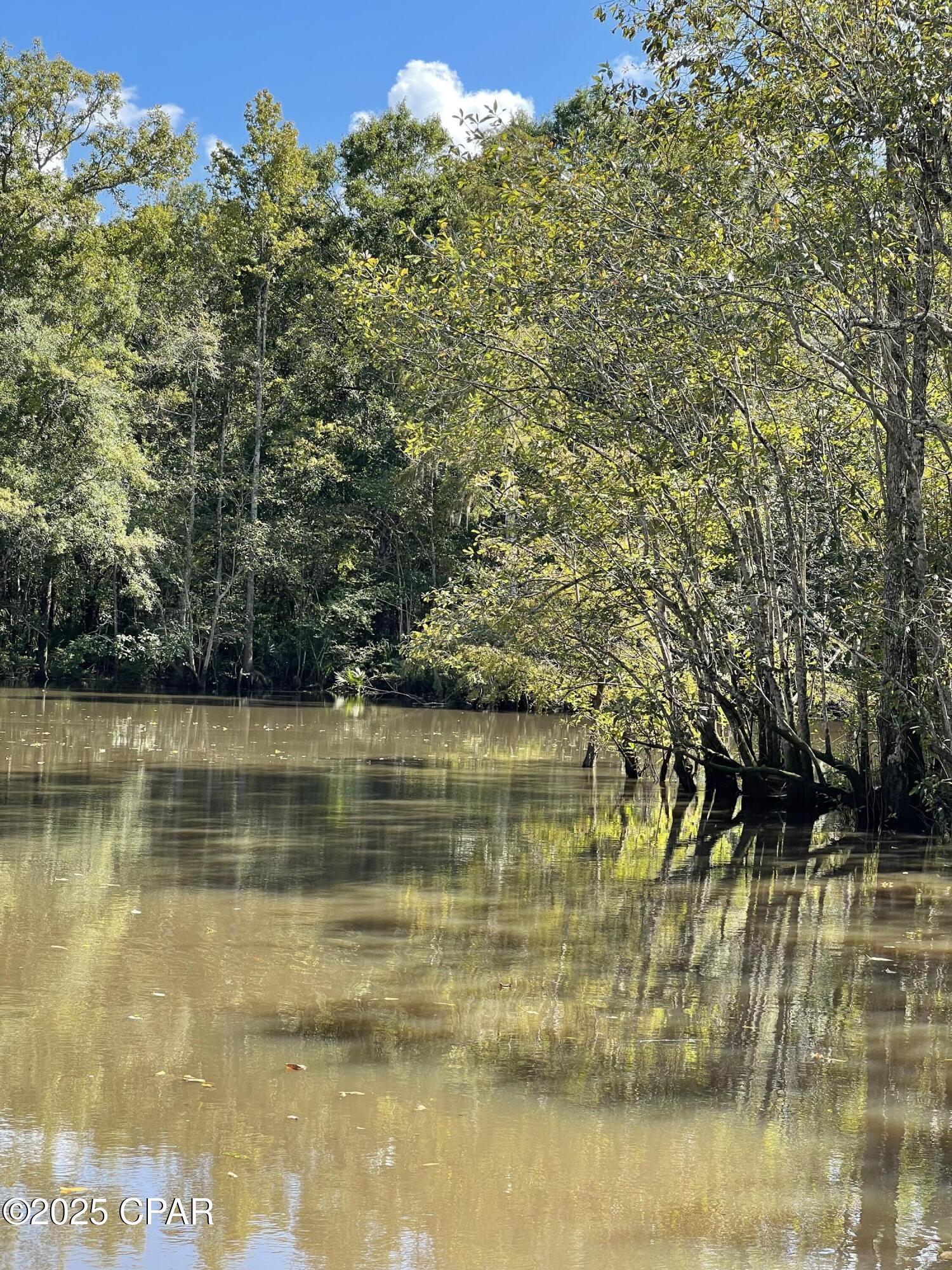 Lot 4 Smokehouse Lake Road Ponce de Leon, FL 32455 - Photo 11 of 12