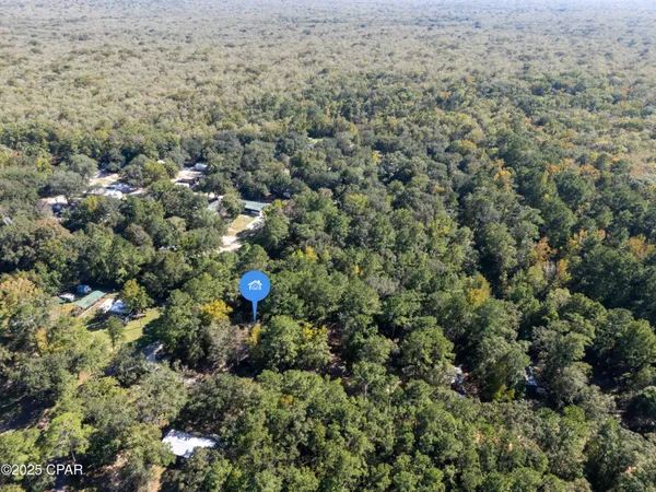 $25,000 | Lot 4 Smokehouse Lake Road, Ponce de Leon, FL 32455
