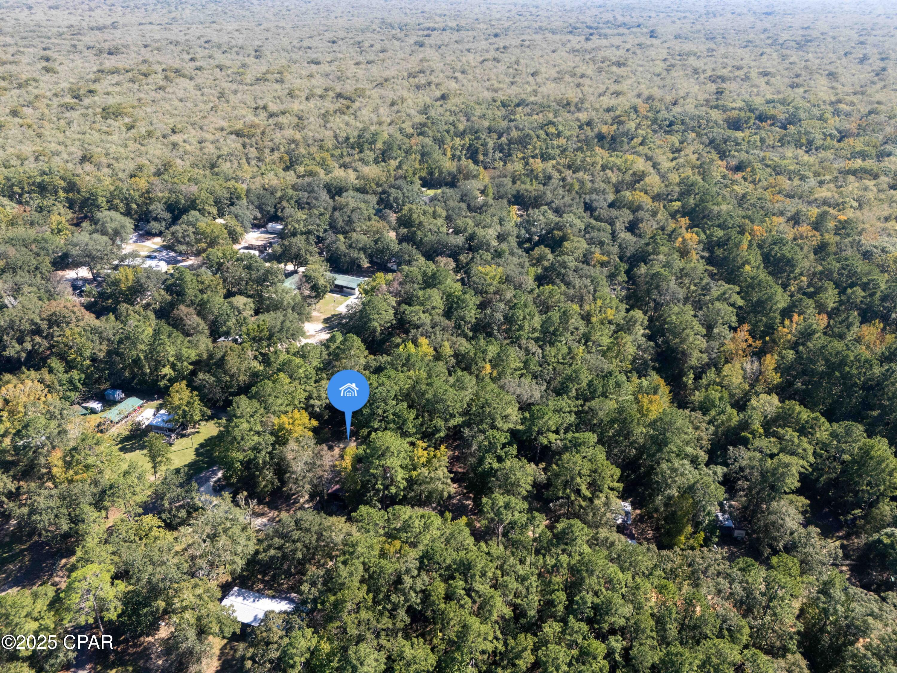 Lot 4 Smokehouse Lake Road Ponce de Leon, FL 32455 - Photo 4 of 12