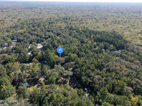 $25,000 | Lot 4 Smokehouse Lake Road, Ponce de Leon, FL 32455