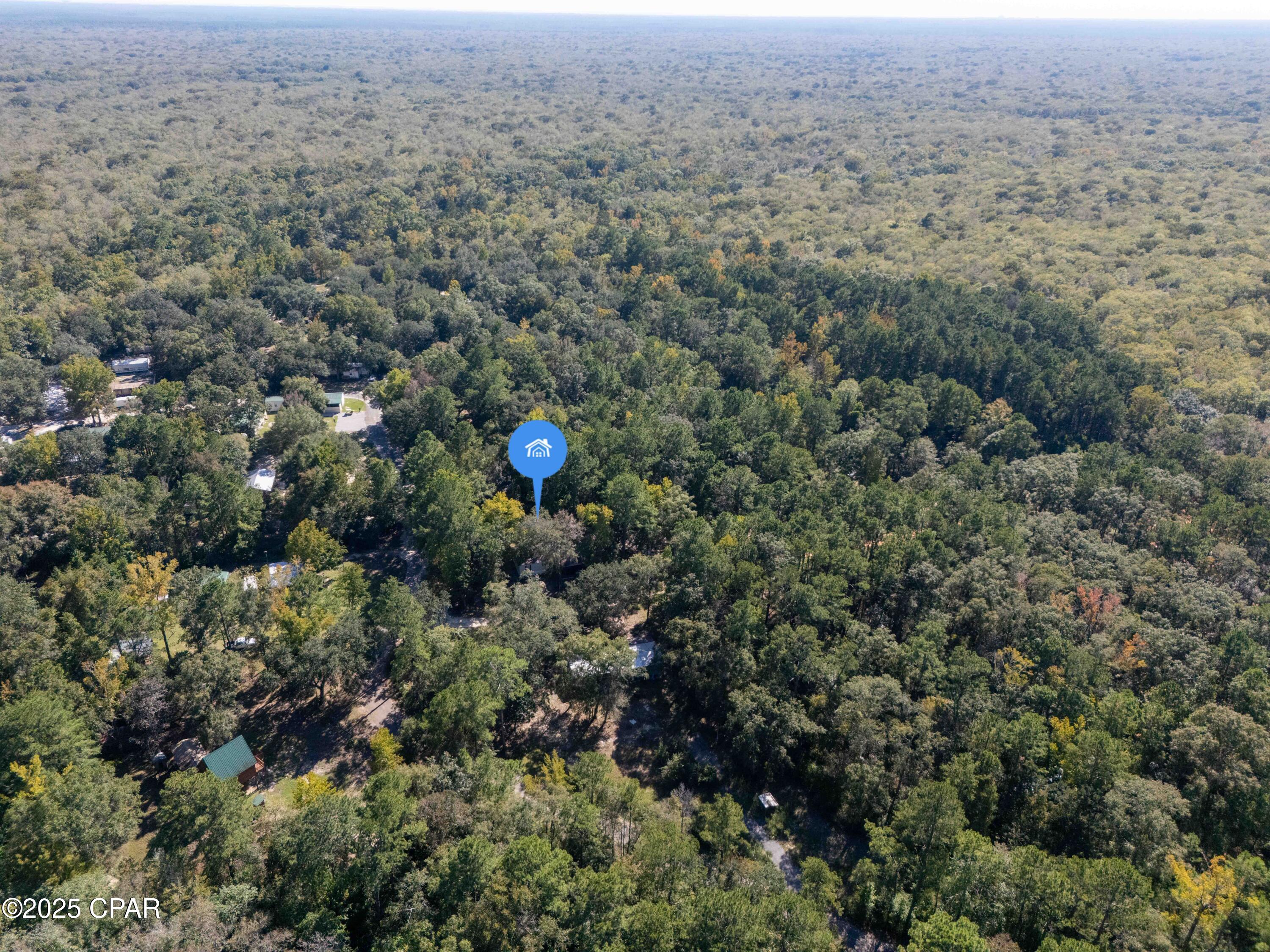Lot 4 Smokehouse Lake Road Ponce de Leon, FL 32455 - Photo 6 of 12