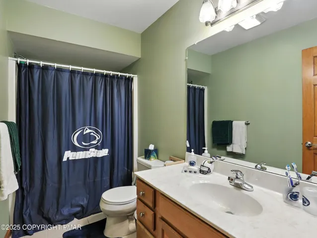 a bathroom with a sink a toilet a mirror and shower curtain