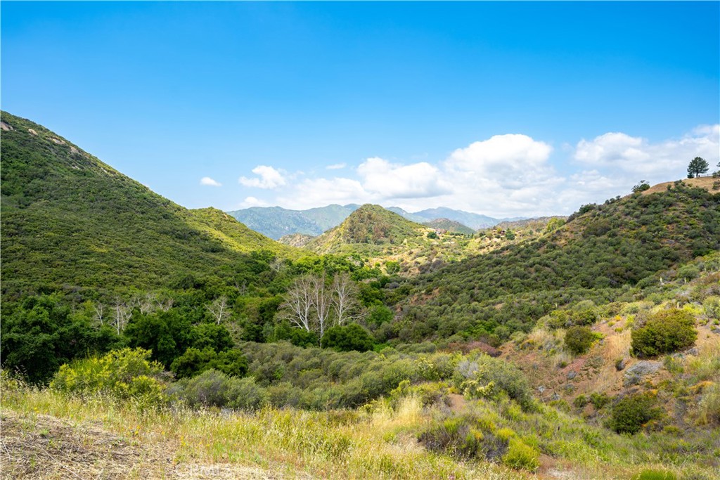 a view of a mountain