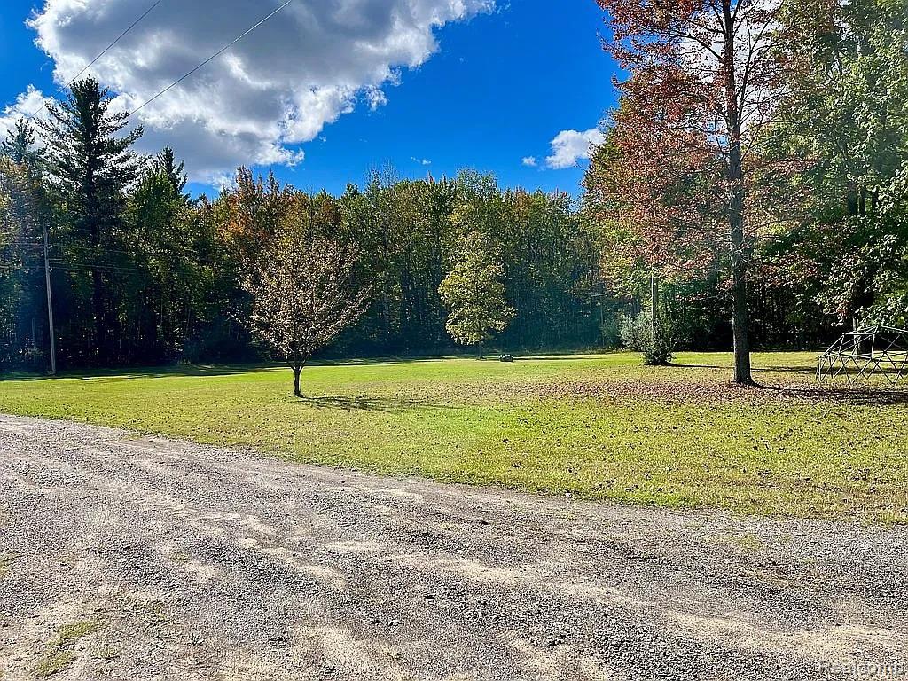 2829 Mushroom Road Caro, MI 48723 - Photo 21 of 29