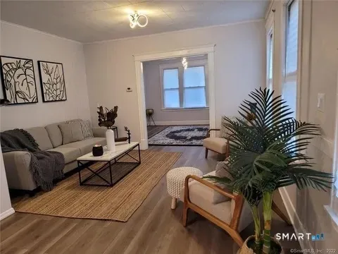 a living room with furniture and a potted plant