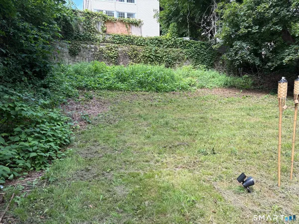 a view of a backyard with plants and large trees