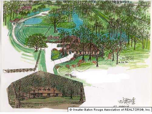 13666 Triple B Road Greenwell Springs, LA 70739 - Photo 12 of 12 Gallery Image 12