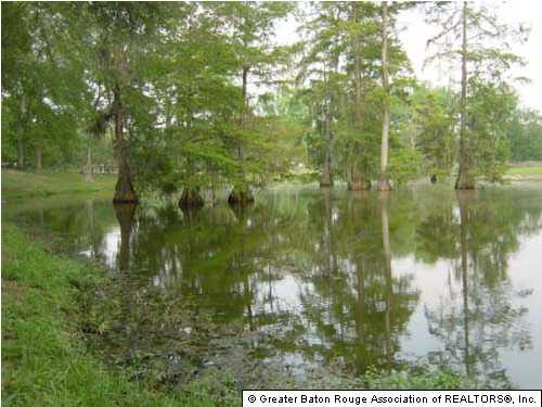 13666 Triple B Road Greenwell Springs, LA 70739 - Photo 2 of 12 Gallery Image 2