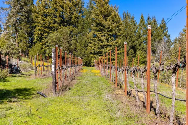 $1,200,000 | 27700 Nash Mill Road, Philo, CA 95466