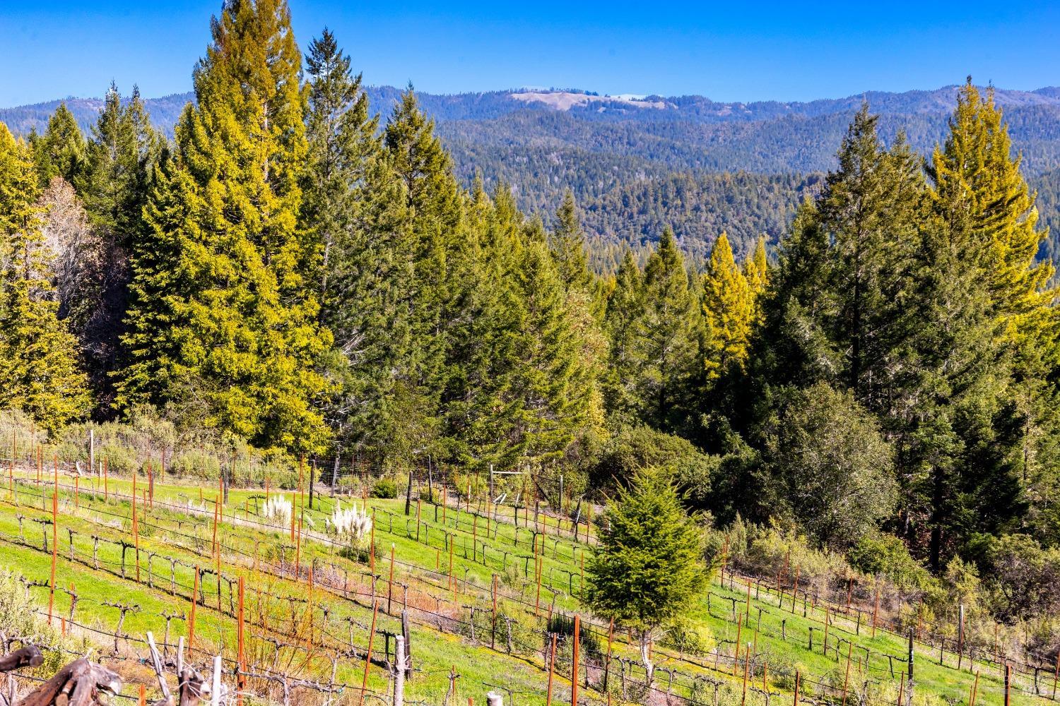 27700 Nash Mill Road Philo, CA 95466 - Photo 34 of 57