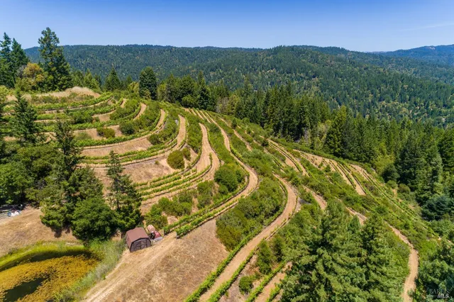 $1,200,000 | 27700 Nash Mill Road, Philo, CA 95466