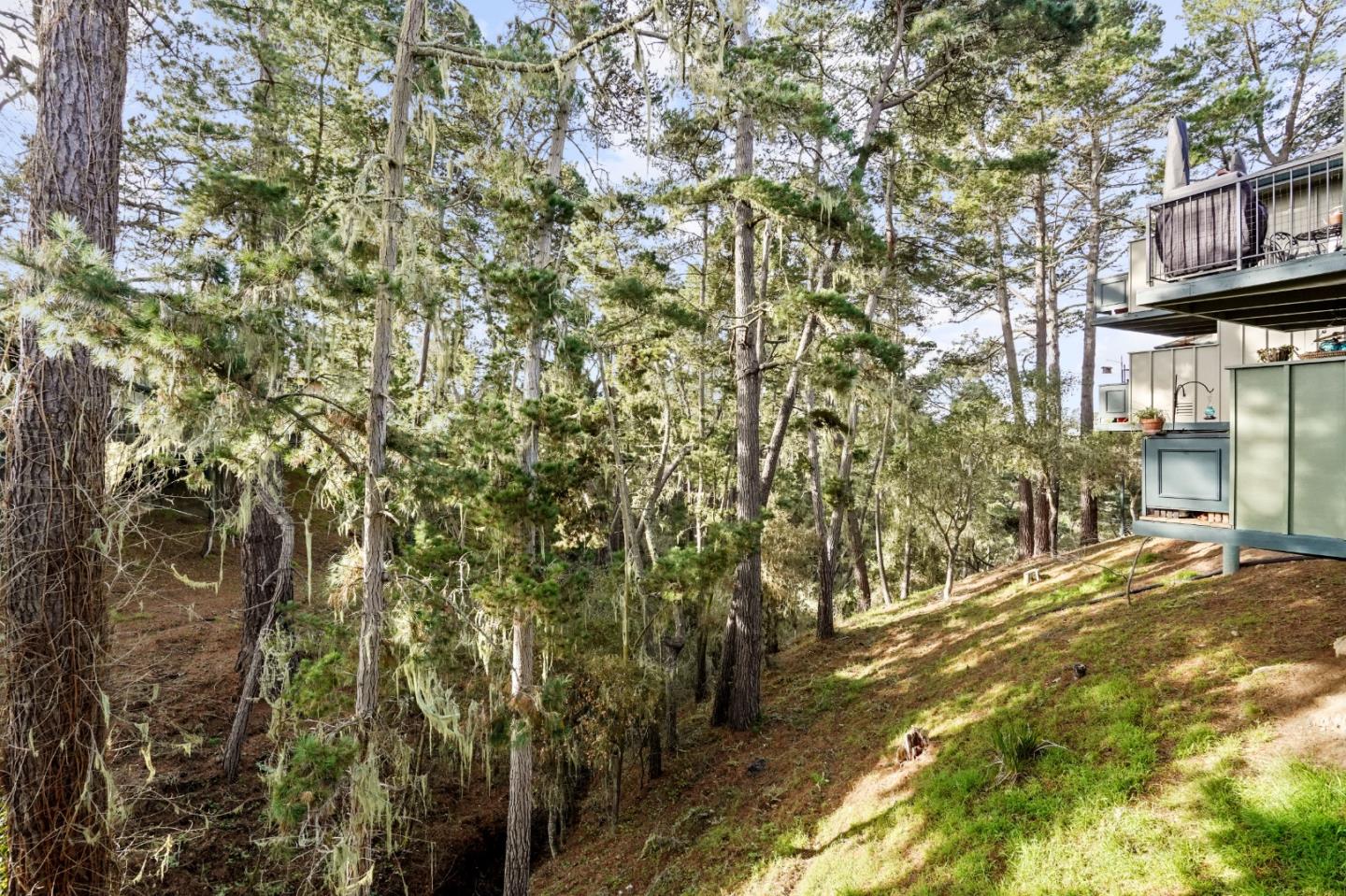 124 Del Mesa Carmel Carmel, CA 93923 - Photo 21 of 28 a view of a house with a tree